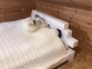 Ліжко Лофт (брус деревянний) 1